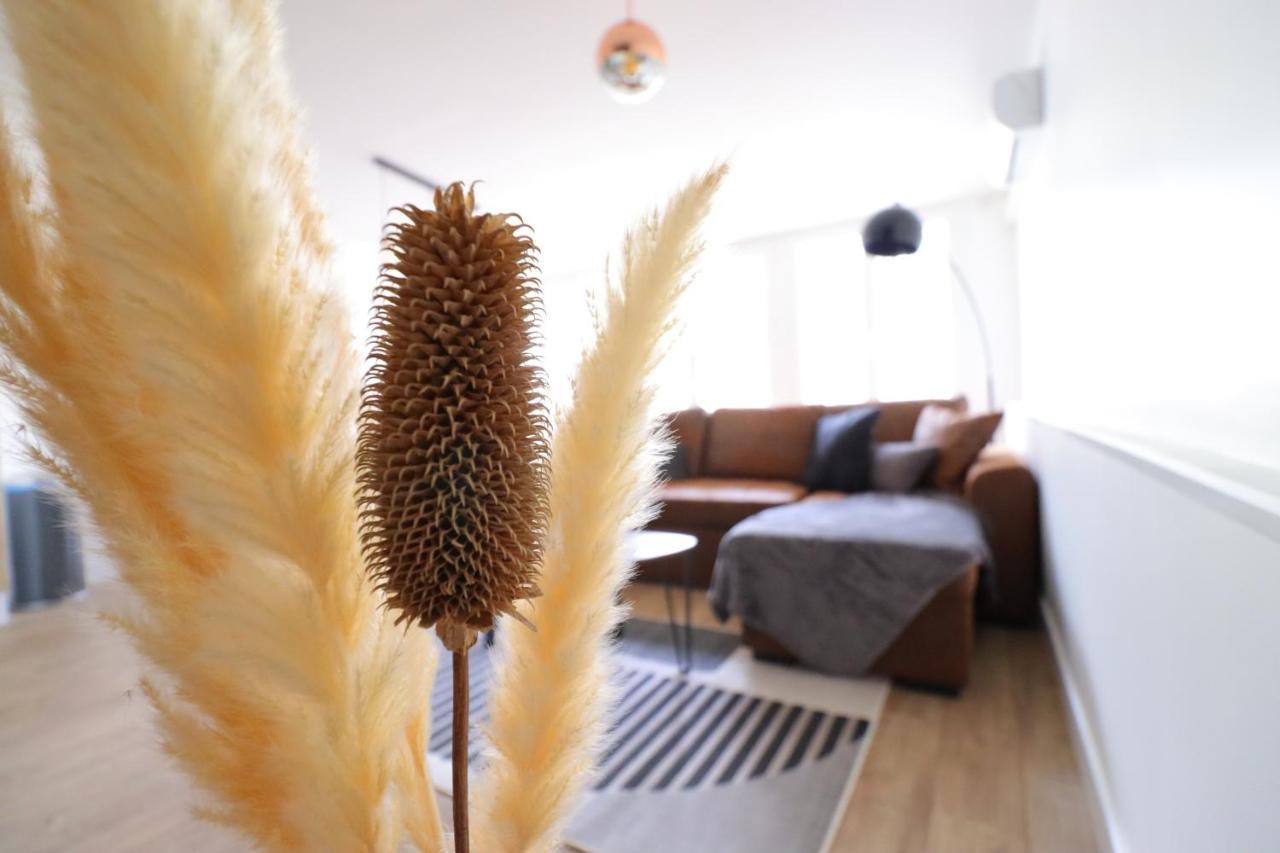 Le Patio - Spacieux T3 Avec Climatisation Et Jardin Privatif Apartment Bergerac